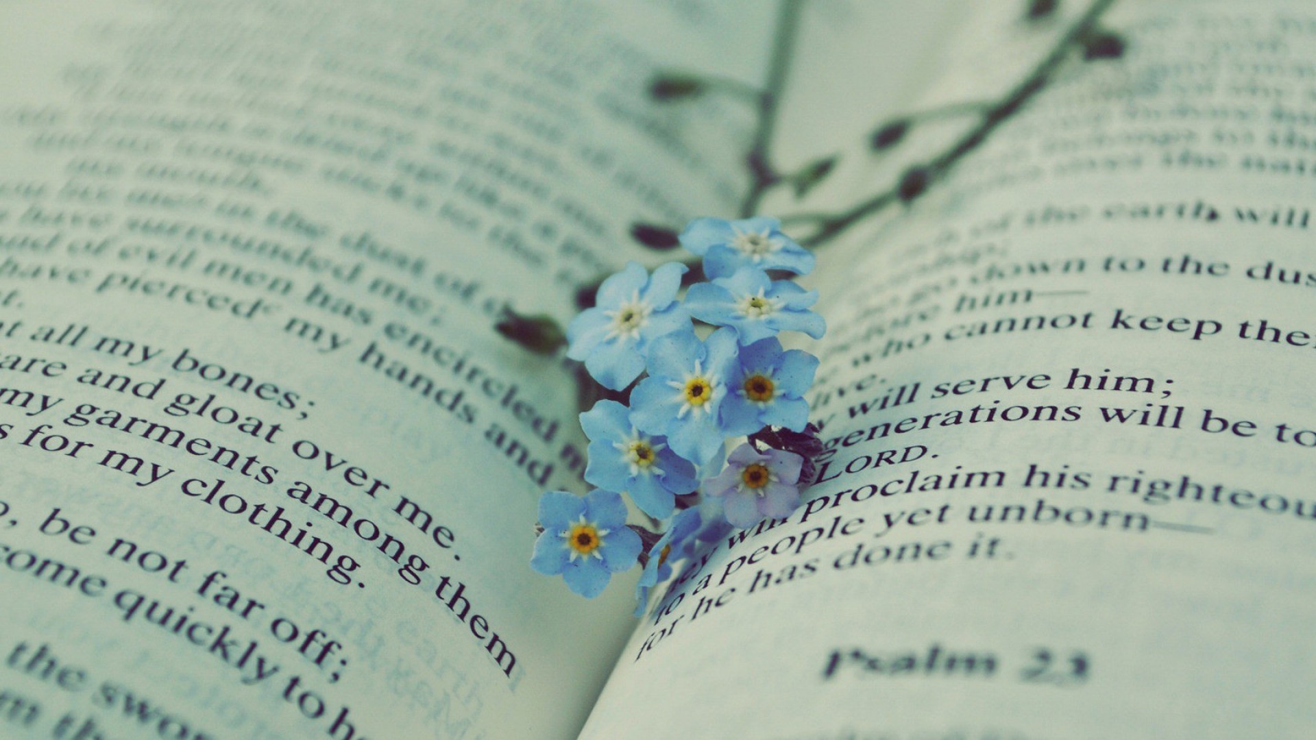 PaperTest论文检测系统,papertest和知网系统对比