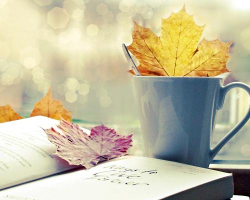 知网查重的范围是那些?