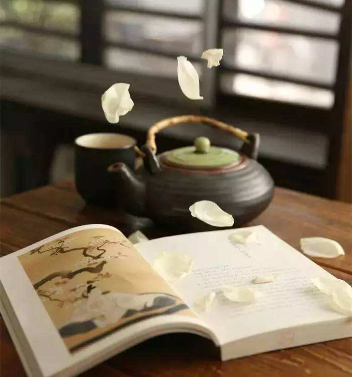 论文参考文献中J、M等是什么意思?